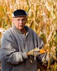 Corn Husking "Hands On"